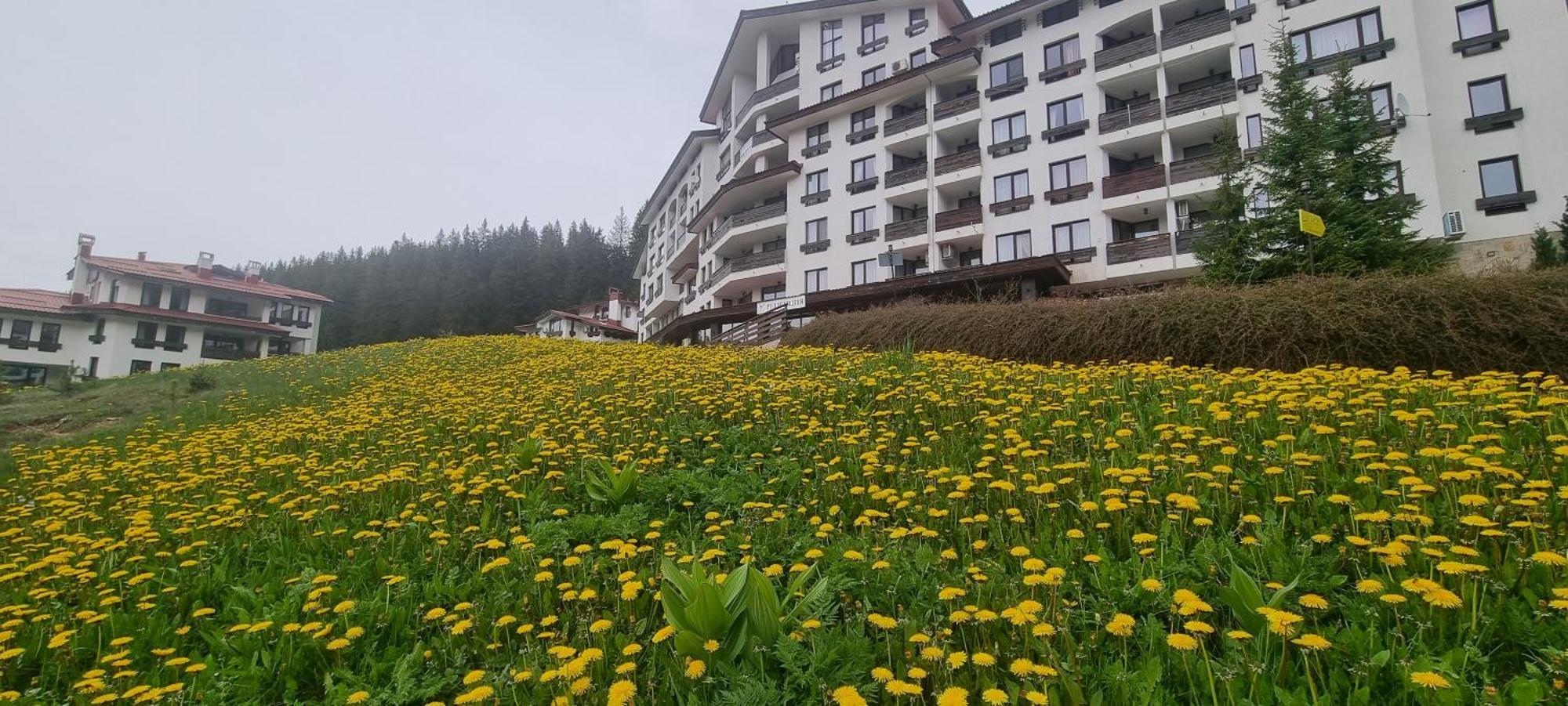 Elit Pamporovo Accommodation Exterior foto